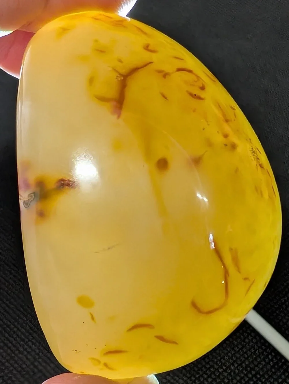 Brazilian Agate Geode Half